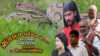 রাসেল্স ভাইপার কান্ড  Russells Viper Kando  New Natok2024  Neel Polash Multimedia [upl. by Adnema95]