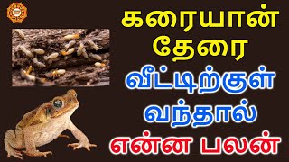 வீட்டிற்குள் தவளை தேரை கரையான் வந்தால் என்ன பலன்  therai thavalai veetukul vanthal enna palan [upl. by Cirri904]