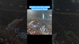 Die Fans können einem nur leid tun… schalke04 s04 dfbpokal [upl. by Mareah631]