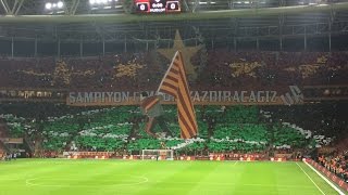 Galatasaray  Fenerbahçe UltrAslan Koreografi 18102014 [upl. by Milurd182]