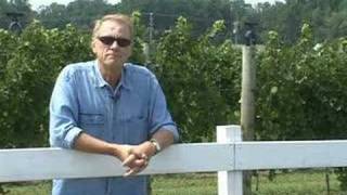 White Fences Vineyards [upl. by Suired]