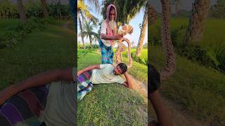 Most Fake King Cobra Sanke Prank On Murubbi snake funnyshorts [upl. by Leiruh472]