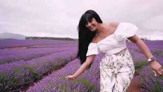 Bridestowe Lavender Estate  Tasmania [upl. by Cordelie920]