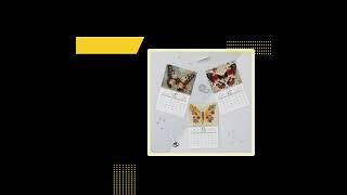 Charming 2025 Wall Calendar with Butterfly Designs Perfect Paper Stationery for Holidays [upl. by Naloc]