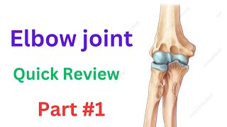 Elbow joint Anatomy  Muscles  ligaments Bones Motions Part1 [upl. by Reyaht350]