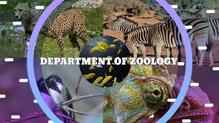 Zoology  Department of Zoology  Dolphin PG Institute Dehradun [upl. by Hellah]