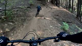 2024 10 19 Downieville Downhill GX010188 [upl. by Atig]