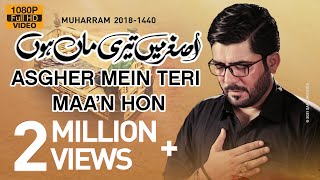 Nohay 2018  Asghar ع Main Teri Maa Hun  Mir Hasan Mir Noha 2018  Babul Hawaij  Nohay 2019 [upl. by Nicolella]