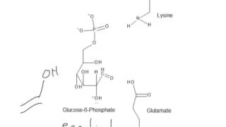 CHEM 407  Glycolysis  2  Phosphoglucose Isomerase Mechanism [upl. by Guido]