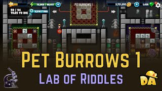 Pet Burrows 1  Lab of Riddles  Diggys Adventure [upl. by Tattan]