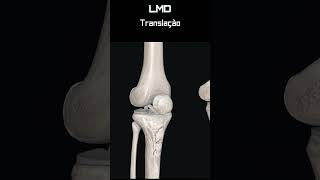 Joelho Translação ant 1  Movimento  Programa Anatomia 3D Software shorts anatomy biology [upl. by Icken]
