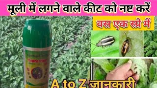 मूली में कीटनाशक कोन सी डाले Cypermethin 25 EC  cypra plus 25 insecticidebest insecticide [upl. by Diamante]