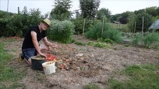 Le Potager du Paresseux  comment valoriser les déchets ménagers sans composter 12 sept 2017 [upl. by Eissirhc]