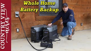 Replacing Our Gas Generator with EcoFlow Delta Pro for Whole Home Power Backup [upl. by Aerdna]