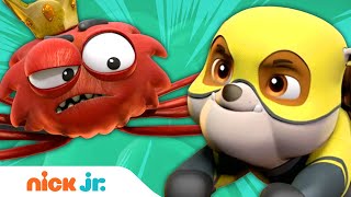 Superhero PAW Patrol Pups vs Spider King  Nick Jr [upl. by Andrea]