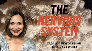 LESSON ON THE NERVOUS SYSTEM TAGALOG [upl. by Htezil468]