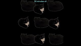 30 minutes of Maxwell the cat theme [upl. by Selda]