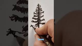 Kennst du den Unterschied zeichnen bäume tanne fichte short tree drawing unterschiede [upl. by Acisse]