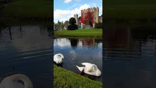 beautiful view at the lake of Hever Castle located at Edenbridge Kent United Kingdom [upl. by Gracye102]