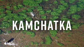 Kamchatka Spring Creek Rainbow Trout with The Best of Kamchatka [upl. by Hedve]