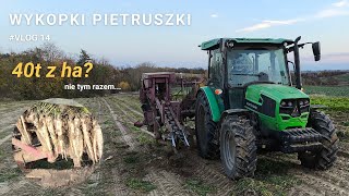 Zbiór pietruszki  Wschody determinują plon Vlog 14 [upl. by Welford]