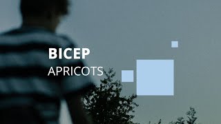 Bicep  quotApricotsquot [upl. by Westhead307]