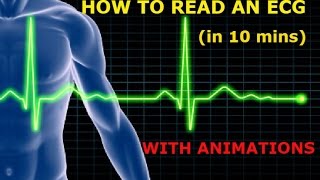 HOW TO READ AN ECG WITH ANIMATIONSin 10 mins [upl. by Erwin]