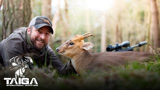 Muntjac amp Chinese Water Deer Combo hunt in England [upl. by Eyllom]