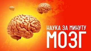 НАУКА ЗА МИНУТУМозг VS суперкомпьютер [upl. by Magnolia]