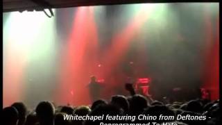 WhitechapelReprogrammed To Hate Featuring Chino Moreno from Deftones Live LA Nokia 112011 [upl. by Ynnavoig442]