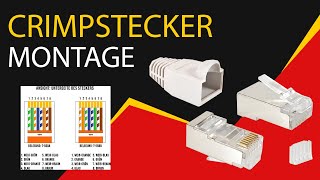 RJ45 Stecker CAT 6 mit Belegung crimpen Netzwerkkabel Belegung selber machen VESVITO [upl. by Schramke]