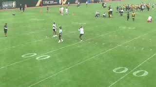 Sights and Sounds from Steelers OTAs Dwayne Haskins Works on RedZone Touch Footwork [upl. by Putnam]