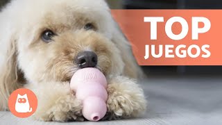 TOP 8 Mejores JUGUETES para PERROS 🥏🐕 ¡Descúbrelos [upl. by Irrep]