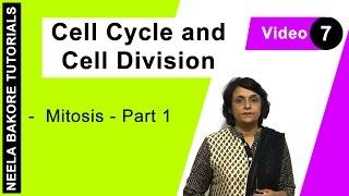 Cell Cycle amp Cell Division  NEET  Mitosis  Part 1  Neela Bakore Tutorials [upl. by Roda]