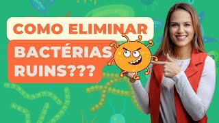 Fitoterápicos mais usados para tratar DISBIOSE INTESTINAL [upl. by Eissolf887]