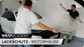 Motorhaube mit Lackschutzfolie folieren wrapacademy [upl. by Andromeda]