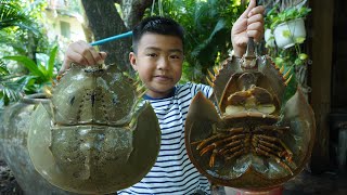 Yummy Horseshoe crabs cooking with country style  Chef Seyhak [upl. by Sihtnyc]