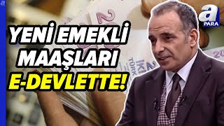 Yeni Emekli Maaşları EDevlette Fazla Görünen Miktar Ne Anlama Geliyor Faruk Erdem Yanıtladı [upl. by Aicirt147]