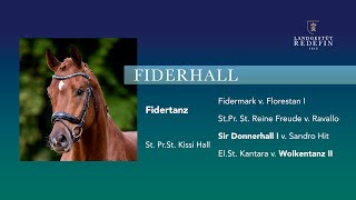 Fiderhall v Fidertanz  Sir Donnerhall Oldenburger Hengst gekört  2019 [upl. by Introc651]