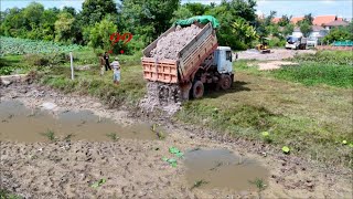 First Starting a New Perfectly Project Quickly Working to Landfill by 5T Dump Truck With Bulldozer [upl. by Esikram]