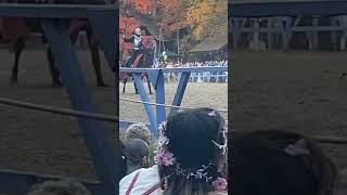 Jousting at King Richard’s Faire [upl. by Chadbourne]