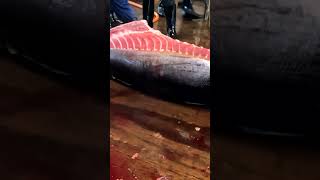 Incredible 307kg Bluefin Tuna Perfectly Sliced with Cutting Skill in Less Than 1 Minutes [upl. by Bobker335]