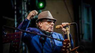 Van Morrison  Celtic Swing [upl. by Celin]