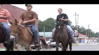 2009 Benson Mule Days [upl. by Vallie]