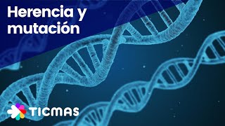 Clonación de ADN y ADN recombinante  Biología  Khan Academy en Español [upl. by Anhoj664]