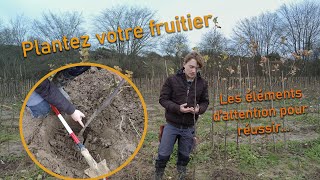 Comment planter un arbre fruitier au jardin  Conseils de pépiniériste [upl. by Eliathas445]