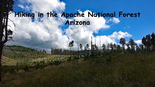 Hiking Apache National Forest  September 2024 [upl. by Catlin278]