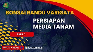 BONSAI RANDU VARIGATA  Persiapan Media Tanam part 1 [upl. by Rupert]