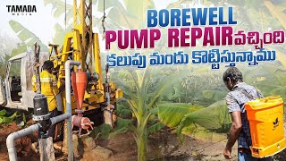 Bore Pump Repair అయింది బయటకి తీస్తున్నారు  కలుపు మందు కొట్టిస్తున్నాము  Tamada media [upl. by Adnicaj]