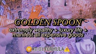 ❗ XT01 MONEY MAGNET ❗ EXTREME WEALTH amp LUXURY LIFE Subliminal Affirmations 💸 [upl. by Erodavlas815]